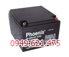 Bình ắc quy kín khí (AGM VRLA) Phoenix 12V-24Ah (TS12240W) 