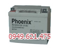 Bình ắc quy kín khí (AGM VRLA) Phoenix 12V-31Ah (TS12310) 